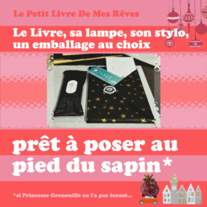 livre lampe stylo, le tout dans un emballage de noël au choix